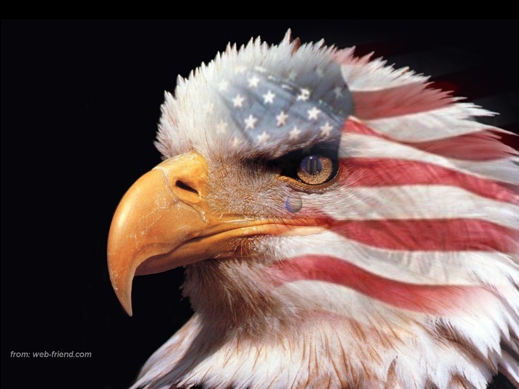 American Flag Eagle Patriotism and Heroism