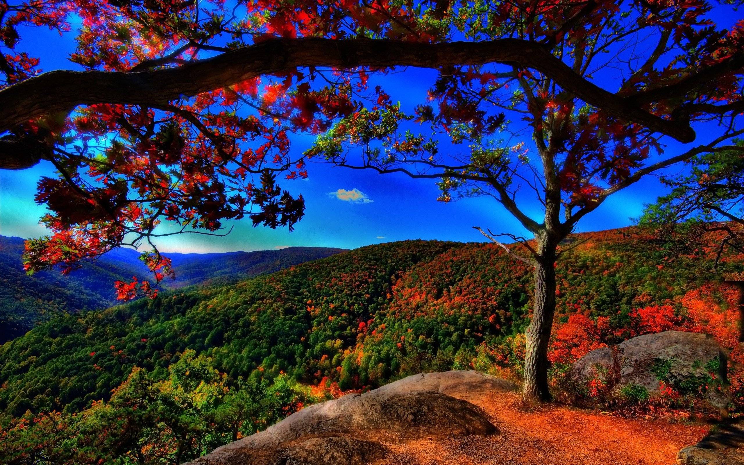 iPad Pro Scenery Wallpaper