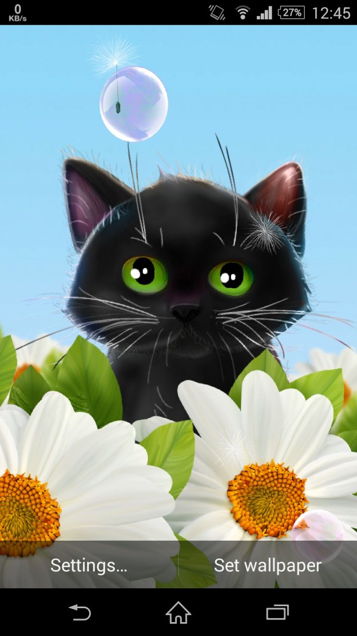 Cute Kitten Live Wallpaper For Android App