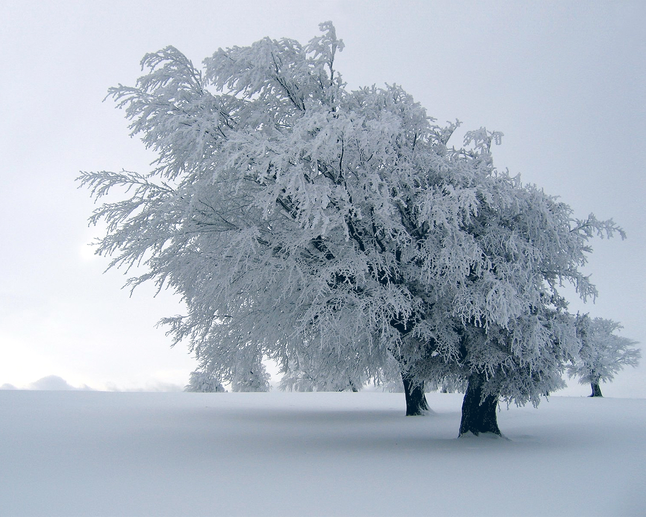 A Klama Manzaral K Resimleri HD Winter Landscape Wallpaper