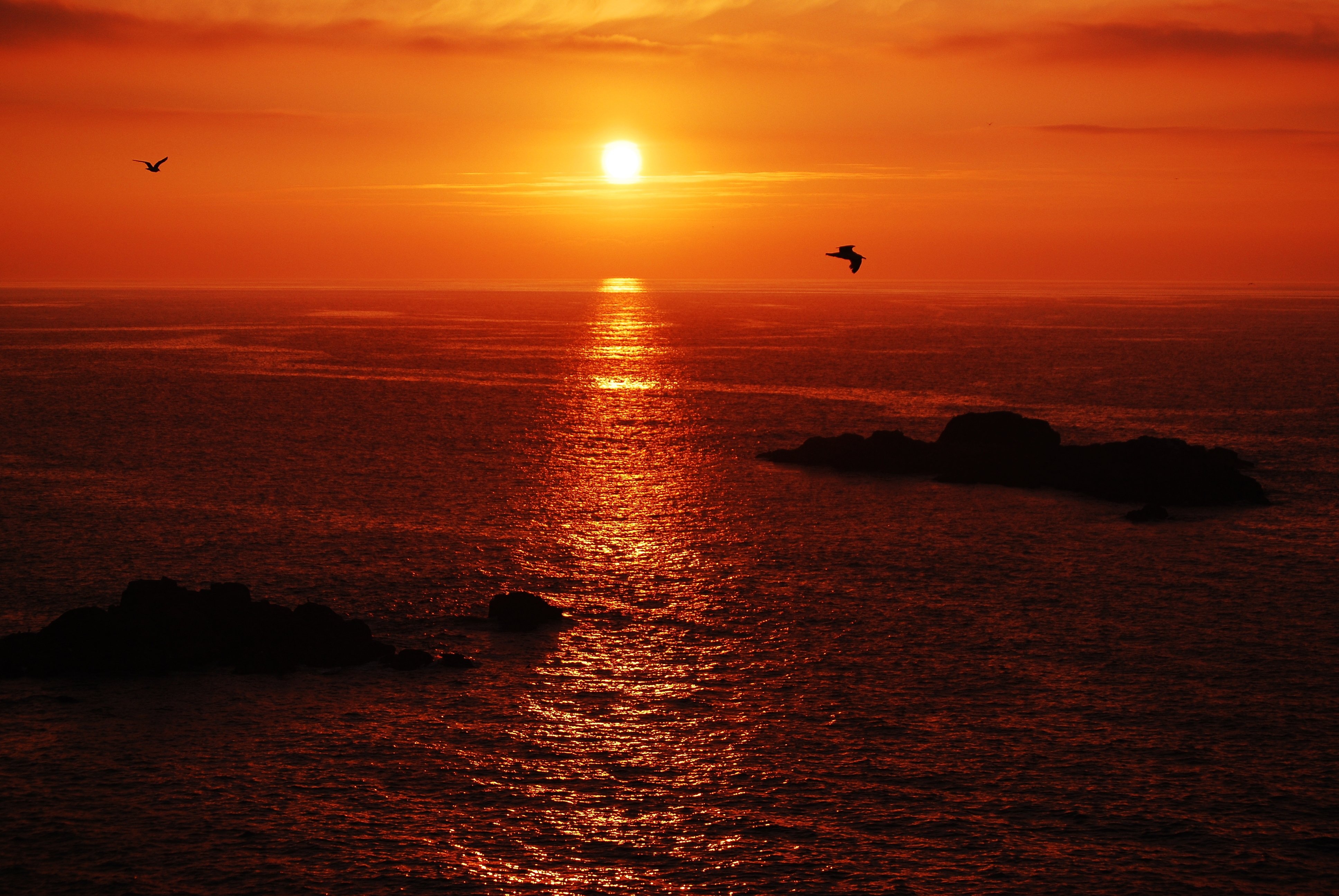 Sunset Birds Sky Red Sea Islands Calm Beauty Emotions