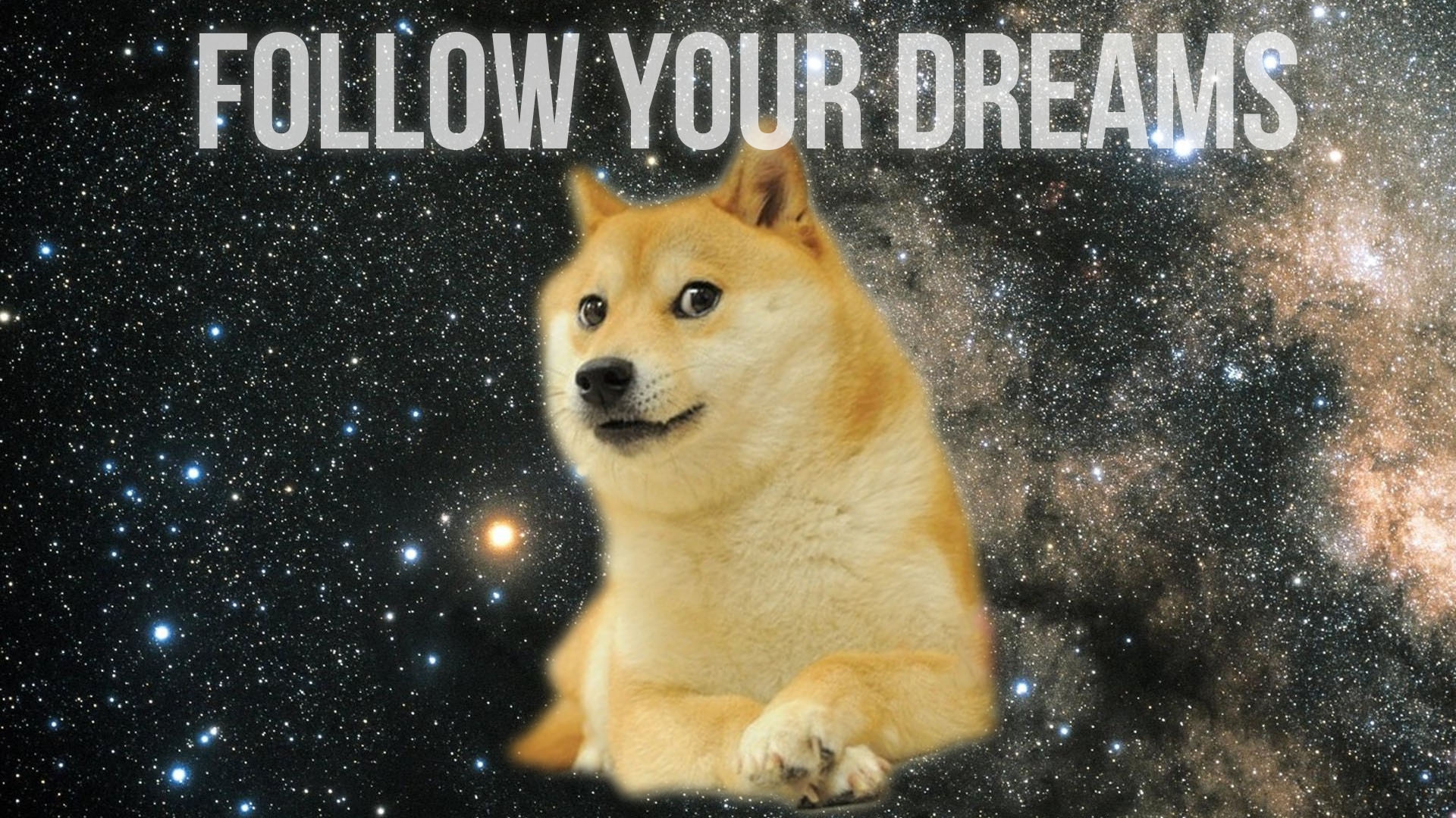 Follow Your Dreams   Doge Wallpaper 1920x1080 18361 1920x1080