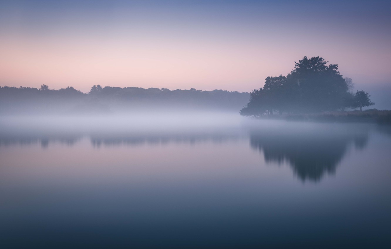 Wallpaper Lake Morning Fog Dawn Mist Lakeshore Image For
