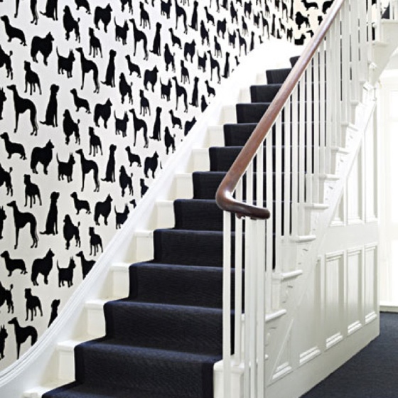 Dog Wallpaper For The Home