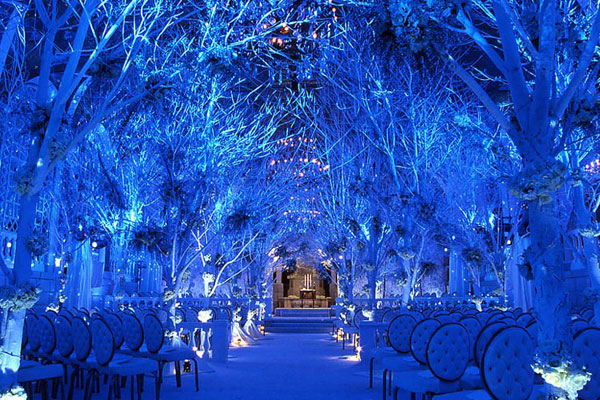 Winter Wonderland Wedding Theme Pictures