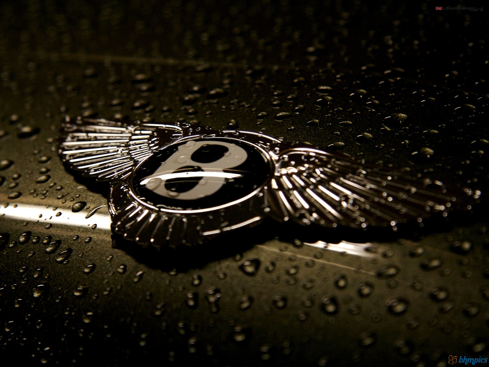 Bentley Logo Wallpaper Pictures Image