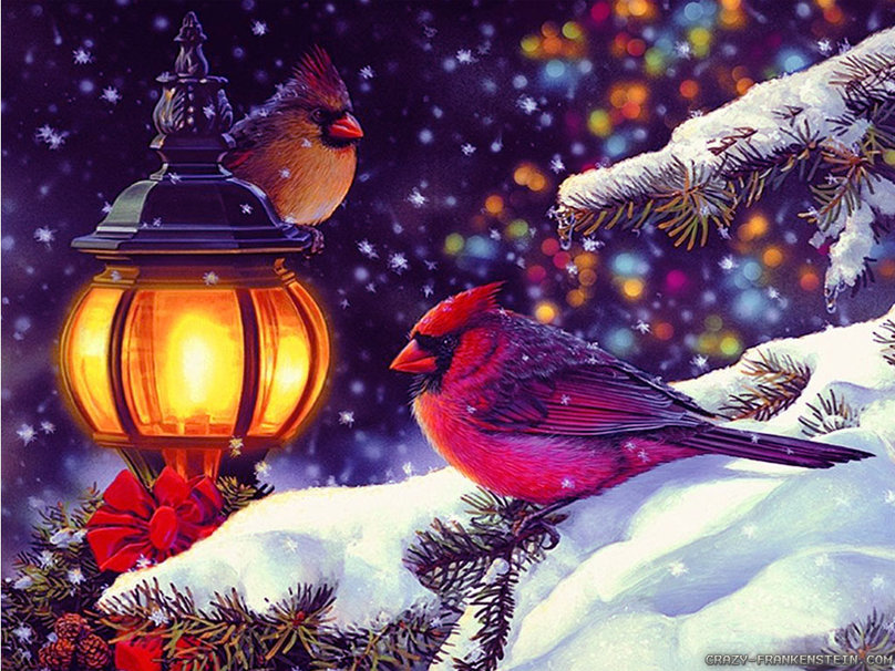 Bird Scene Winter Holidays Wallpaper