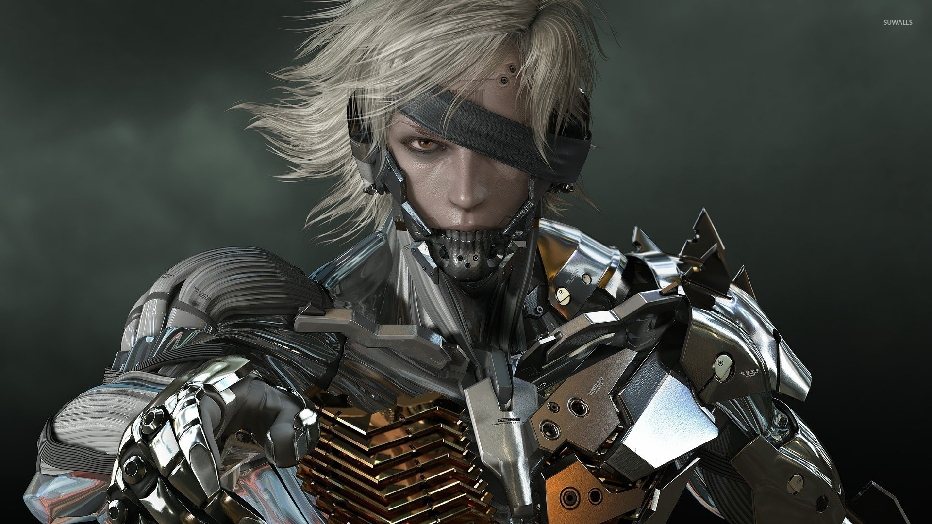 Raiden   Metal Gear Solid 2 Sons of Liberty wallpaper   Game