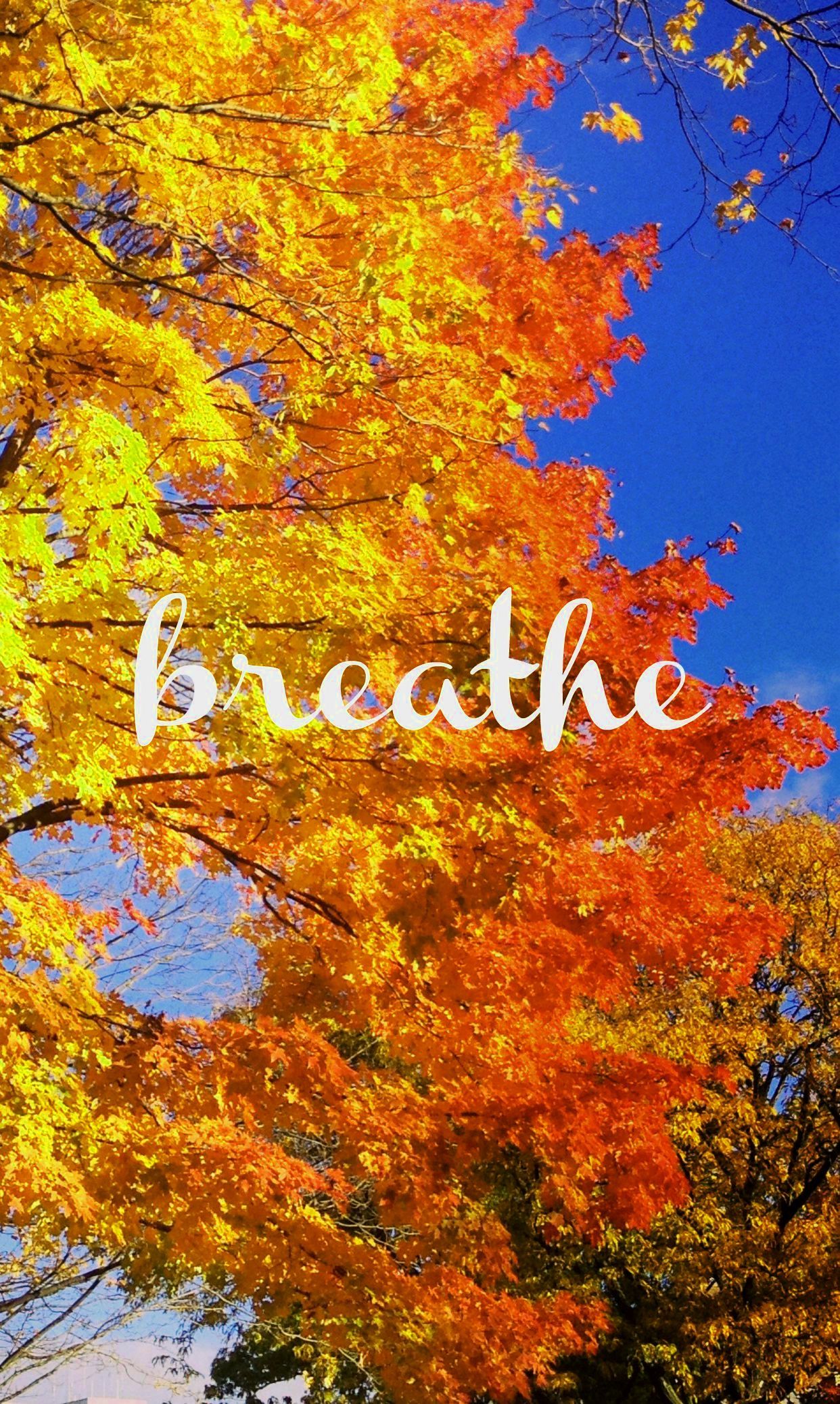Fall Phone Wallpaper