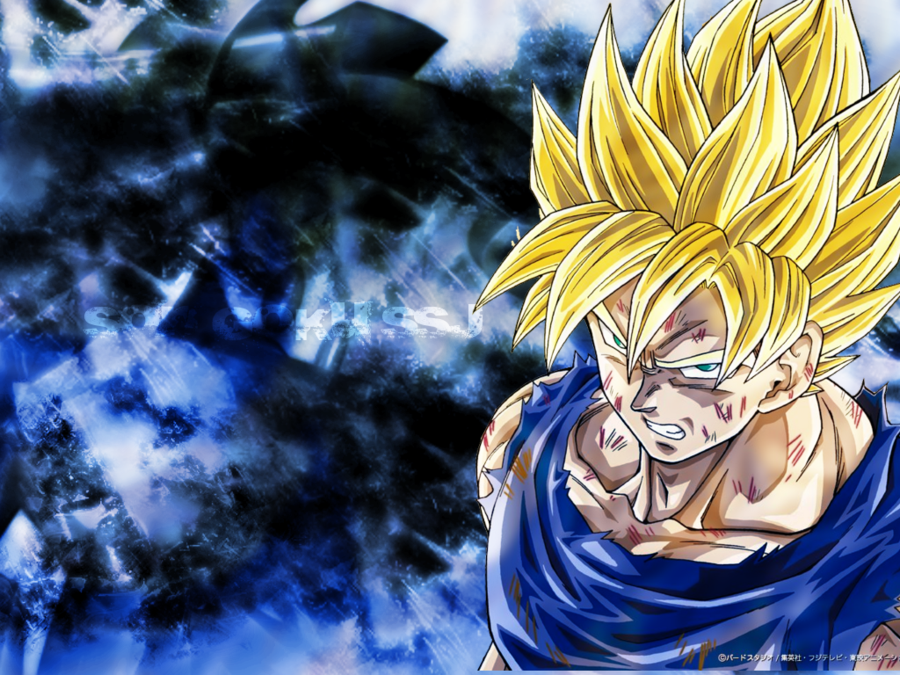 47 Goku Desktop Wallpaper On Wallpapersafari