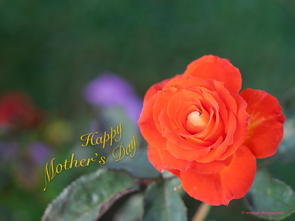 Source Url Sl Designs Wp Mothers Day Htm