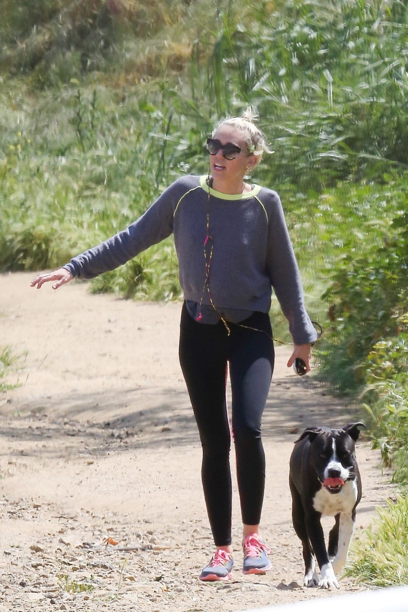 Miley Cyrus Out Hiking In Hollywood Hills HD Wallpaper