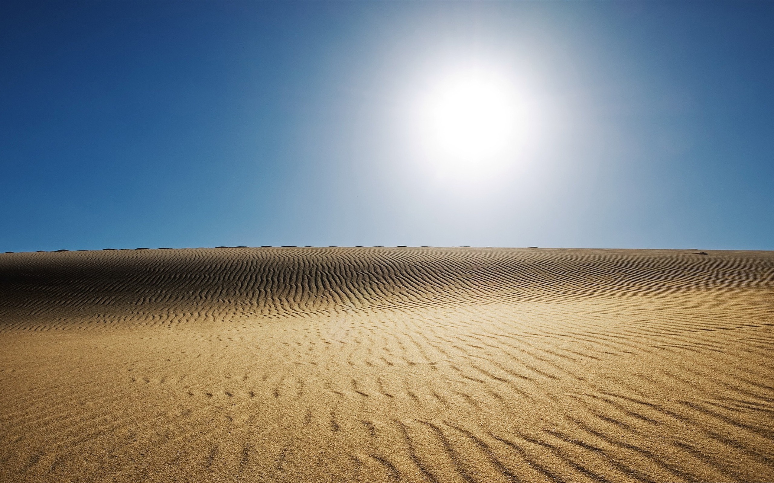 Desert Sun Wallpaper