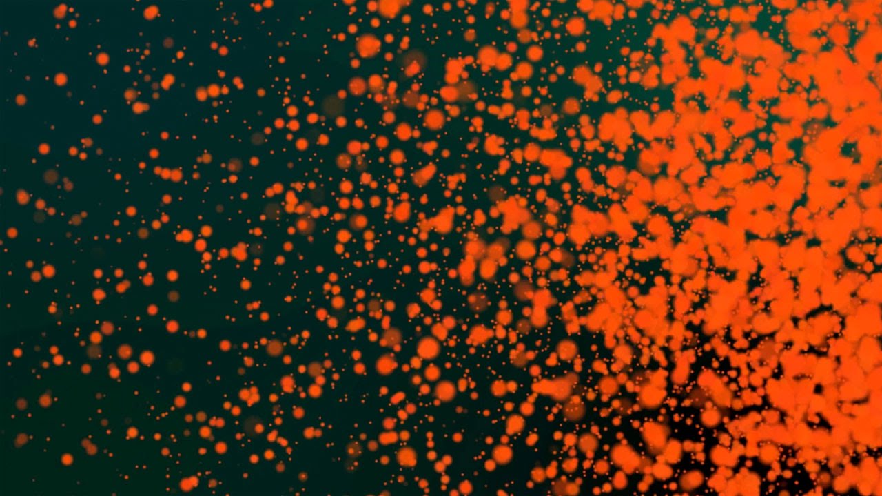 Orange Particle Background Loop HD