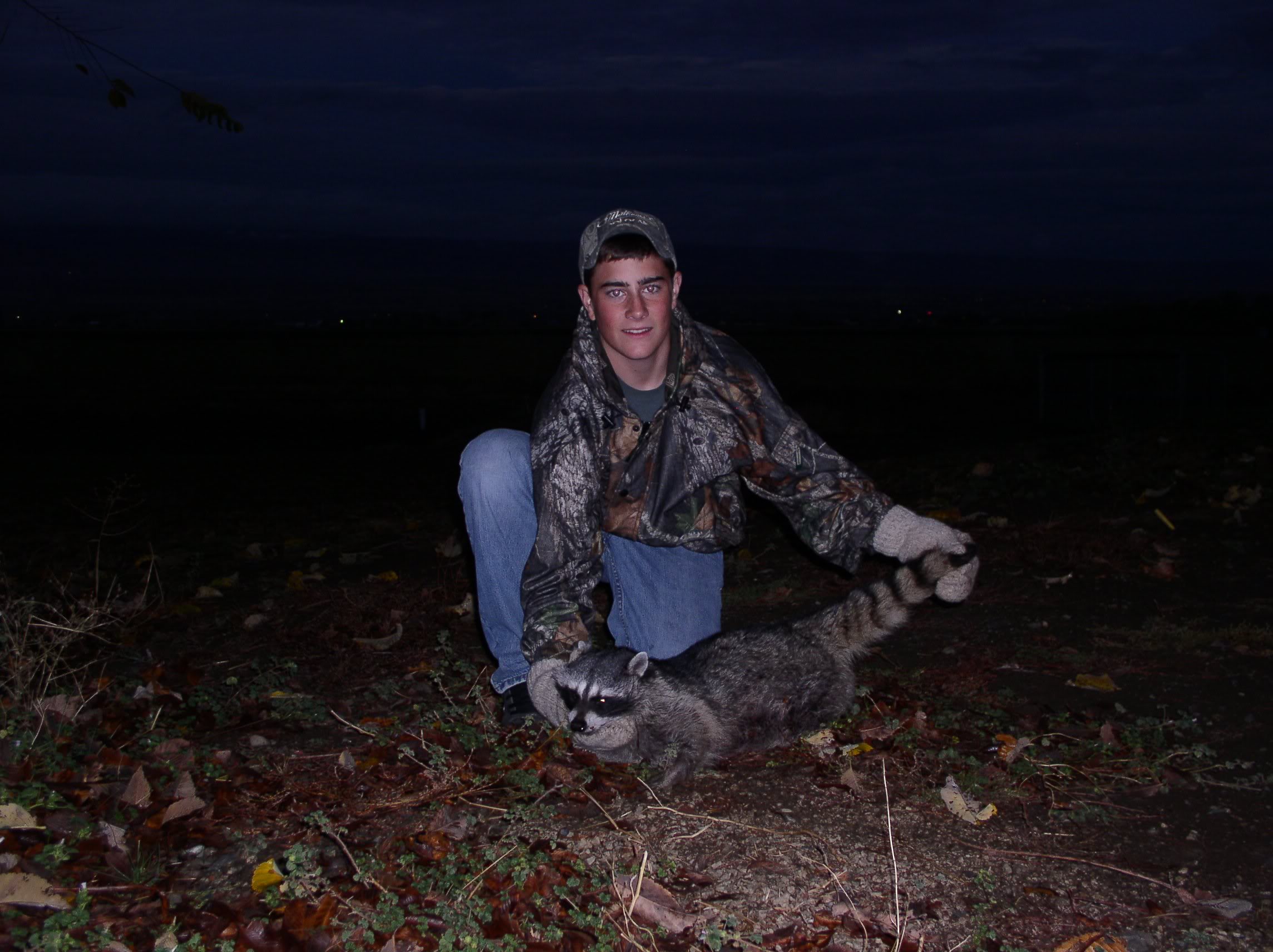 Coon Hunting Image Picture Graphic Photo