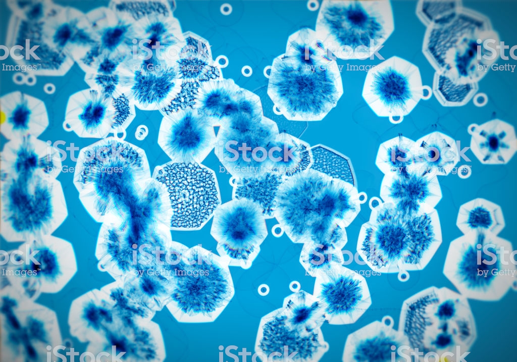 Microscopic Blue Bacteria Background Stock Photo Image