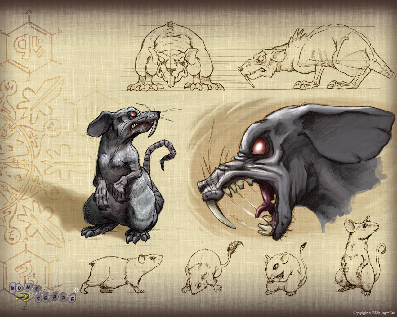 Rat Runescape
