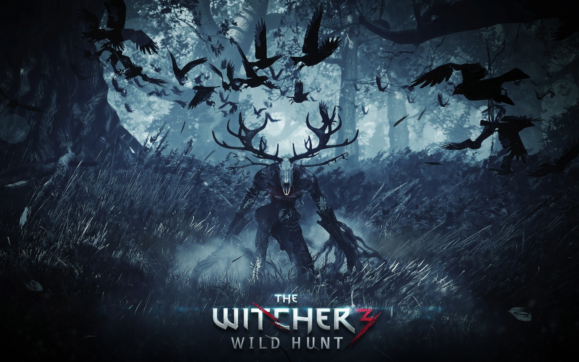 The Witcher Wild Hunt HD Wallpaper Background