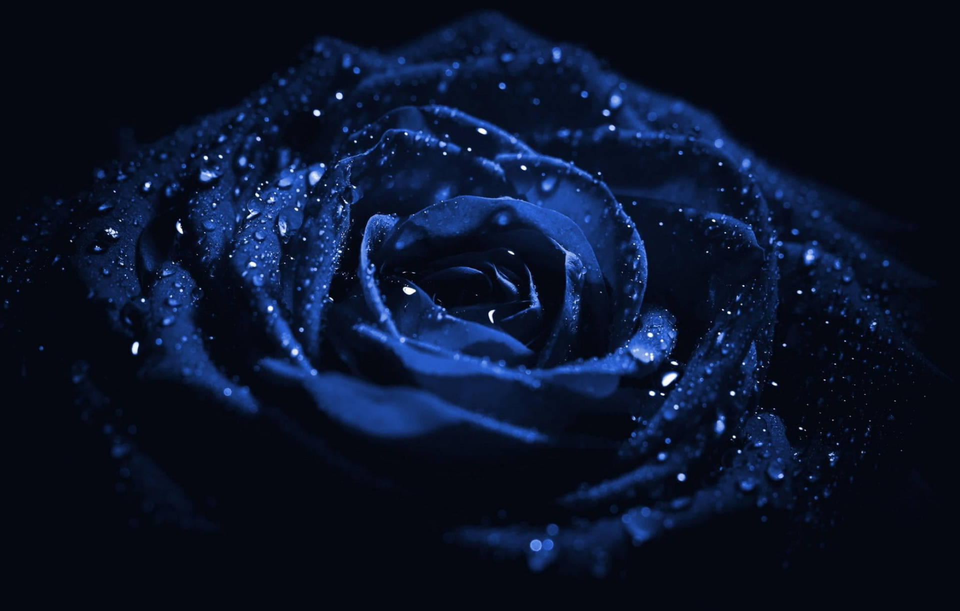 Top Aesthetic Dark Blue Wallpaper Full HD 4k To Use