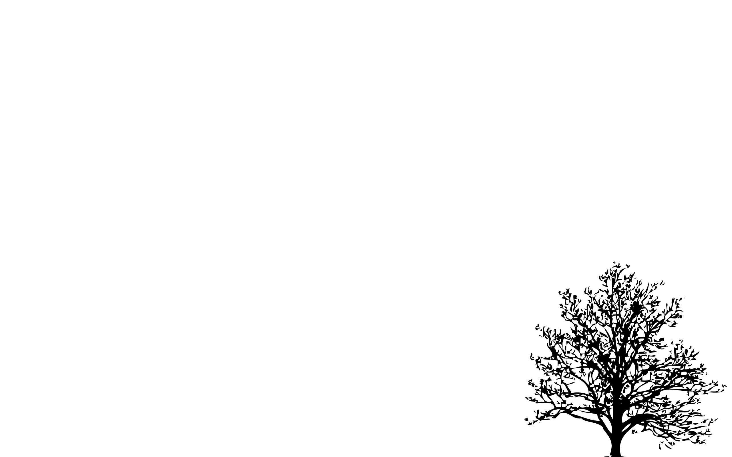Minimalistic Trees White Background HD Wallpaper