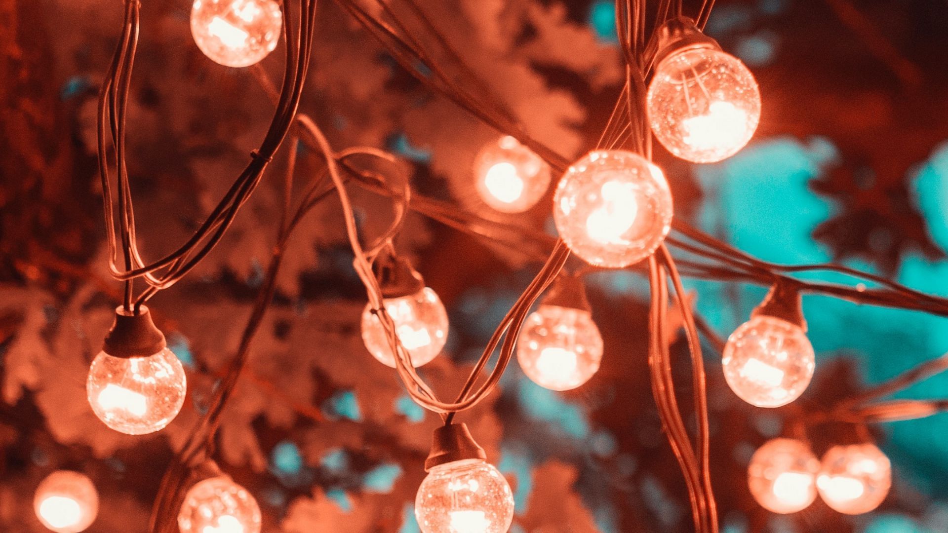 Fairy Lights Aesthetic Wallpaper