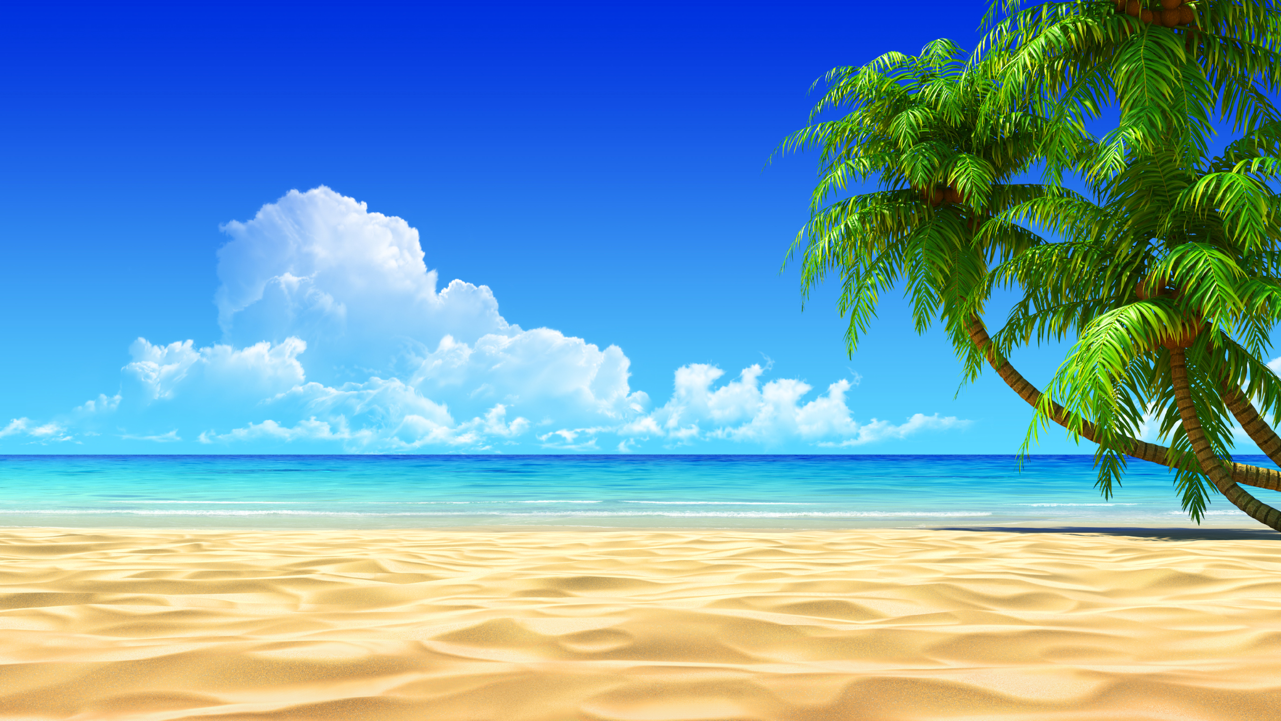 Tropical Beach Background Wallpaper