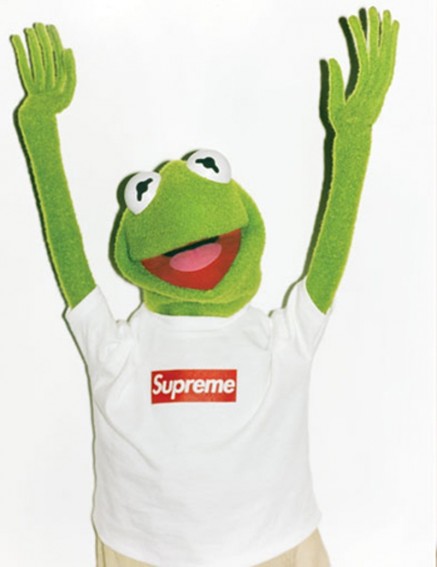 [41+] Kermit the Frog Wallpaper on WallpaperSafari