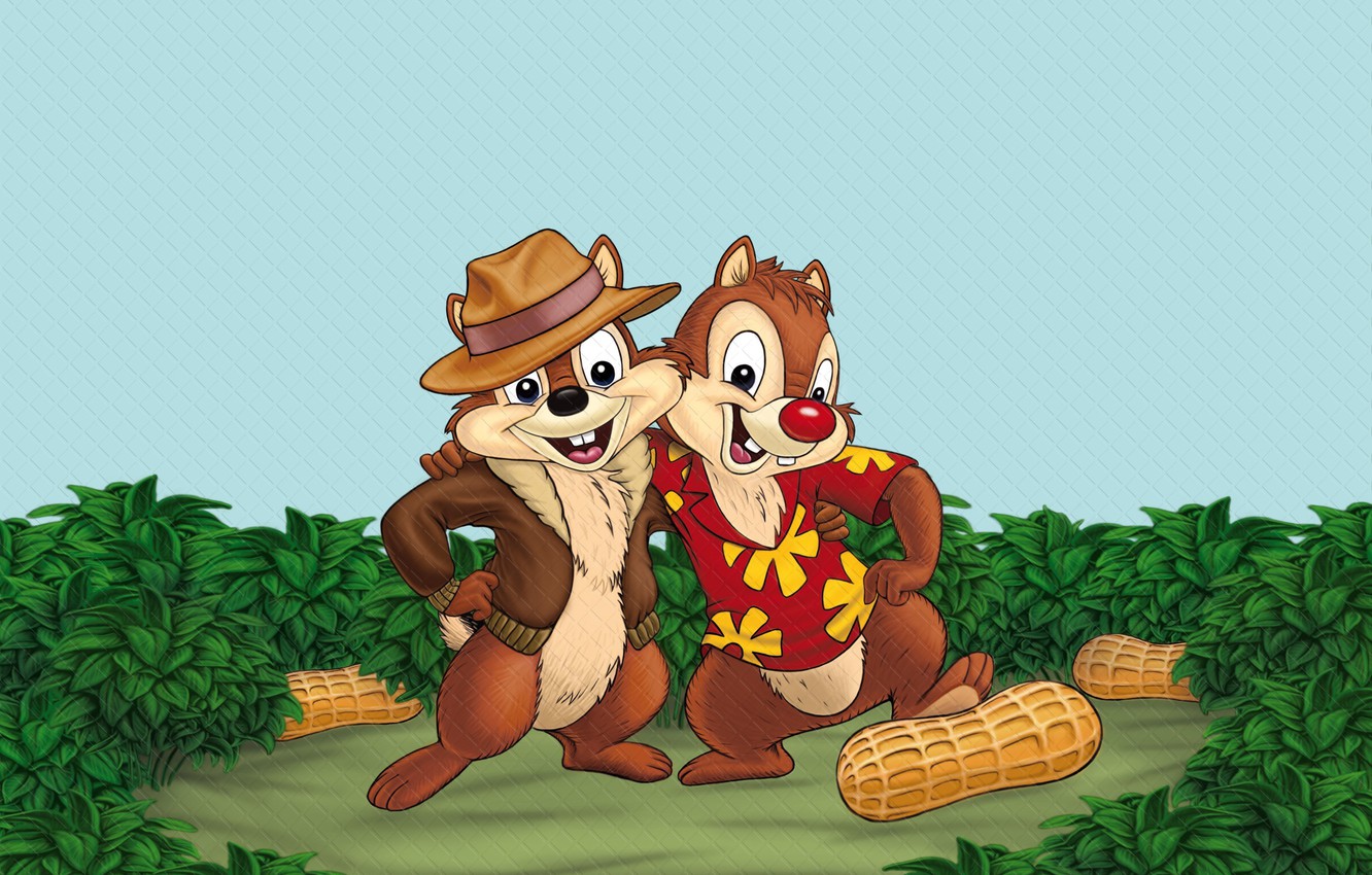 Wallpaper Cartoon Disney Chipmunks Chip And Dale Image For
