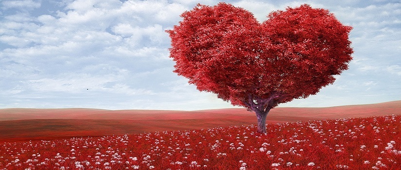 Beautiful Everyone S Apostolic Wallpaper