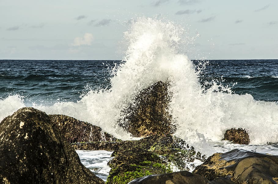 HD Wallpaper Brazil Florian Polis Morro Das Pedras Beach