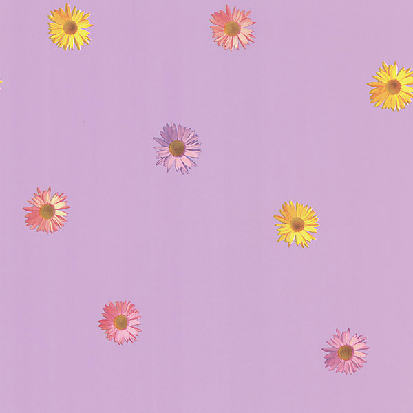 NG63841 Pink Gerber Daisies   Daisy   Brewster Wallpaper