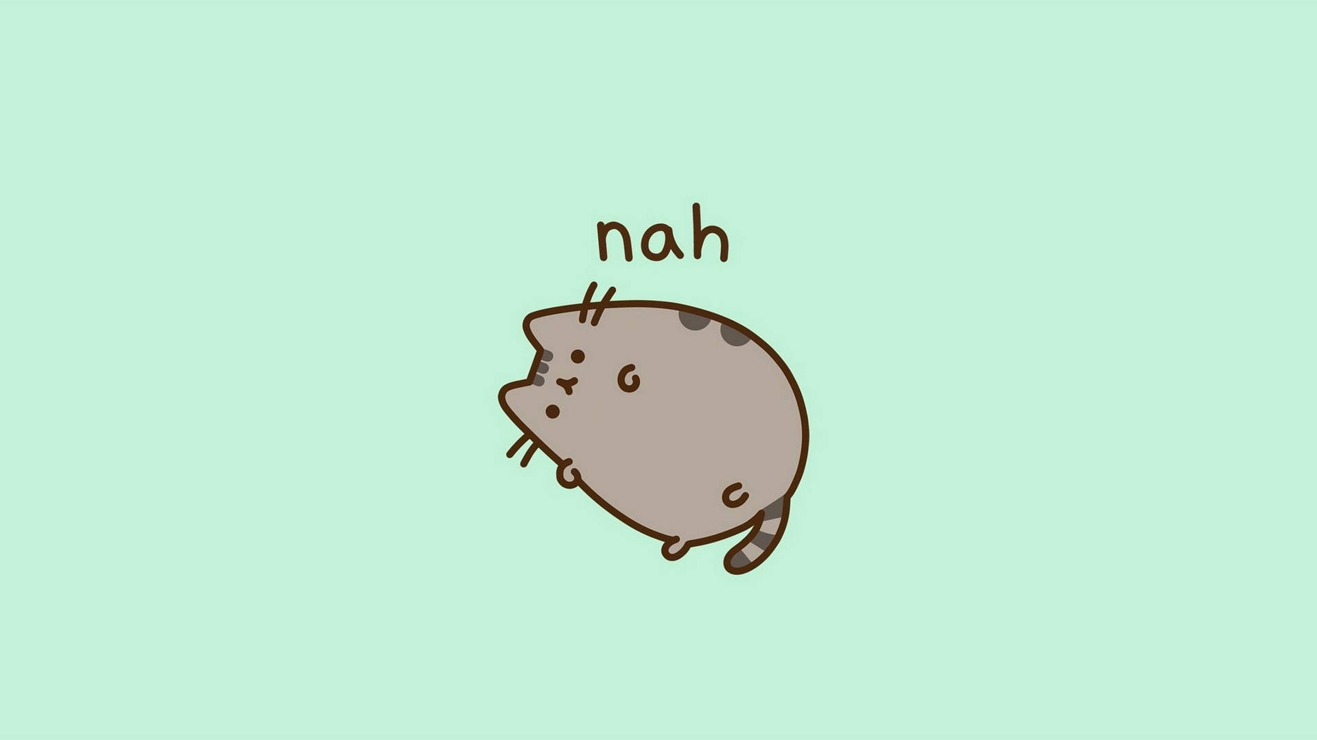 Cat Meme Picture Wallpaper
