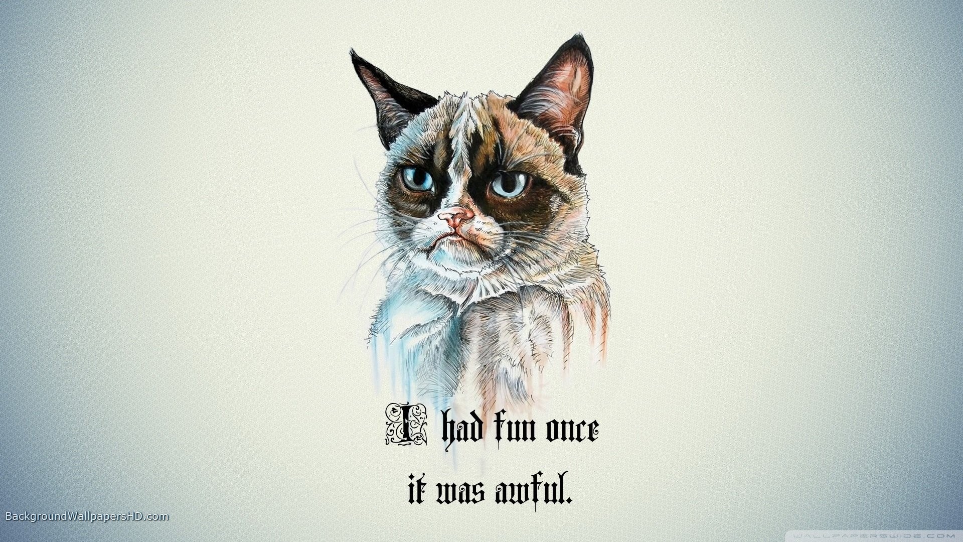 Grumpy Cat Wallpaper