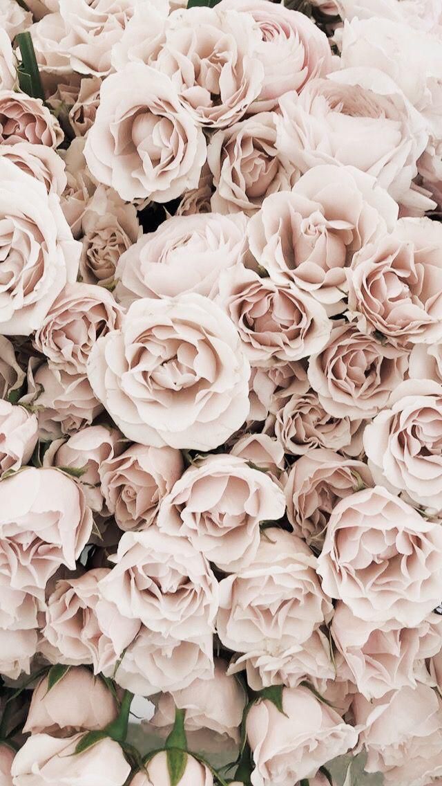 Floral Wallpaper For iPhone And Android
