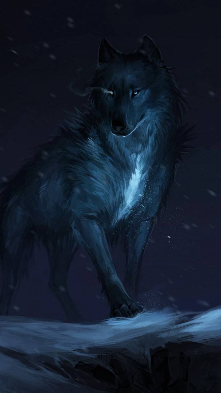 Wolf Wallpaper By Pramucc Now
