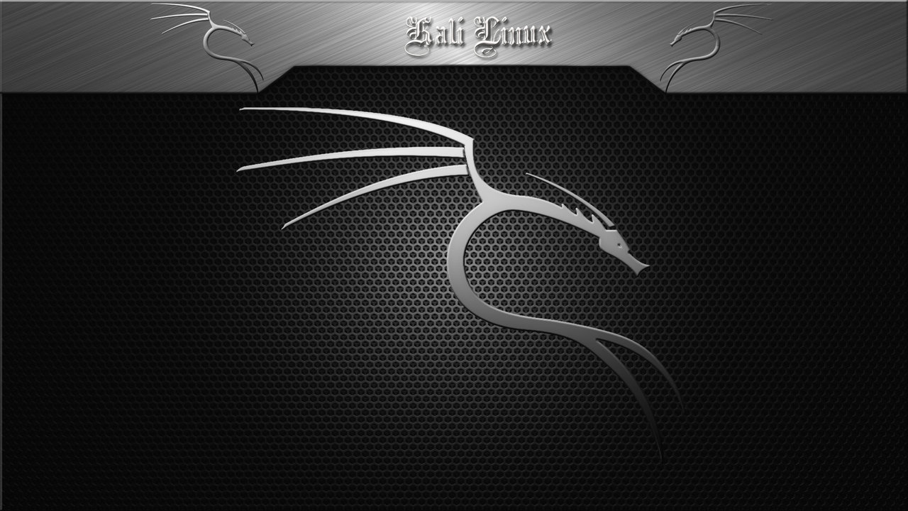 Kali Linux Silver X By Fabryking61
