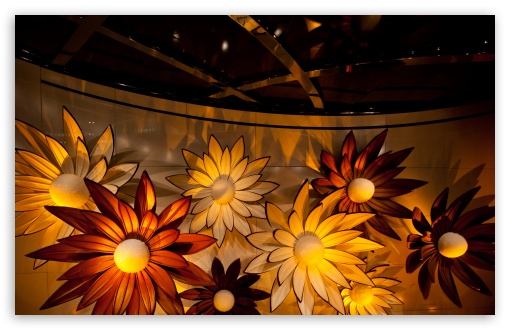 Chocolate Flowers HD Wallpaper For Standard Fullscreen Uxga