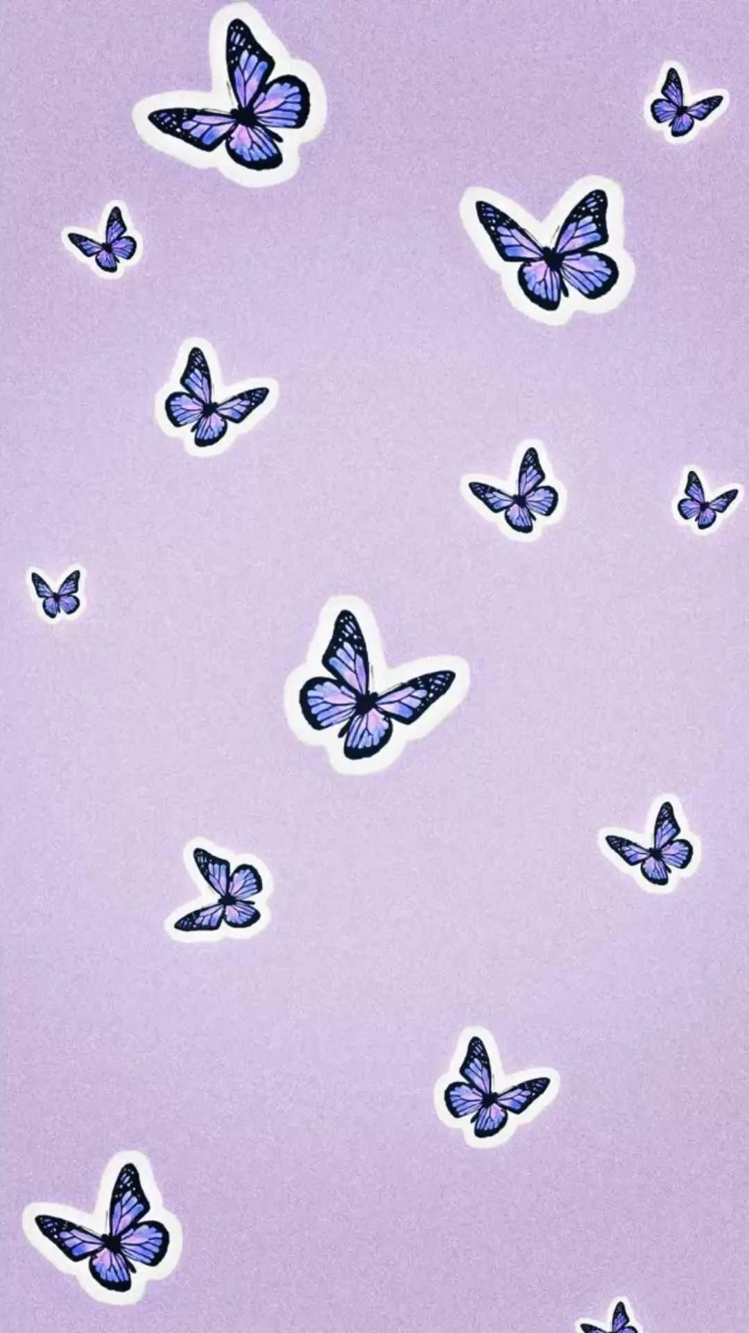 Butterfly Aesthetic Wallpaper
