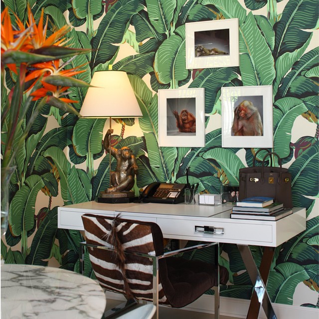 10 Banana Leaf Wallpaper Instagrams to Celebrate the Coming of Spring
