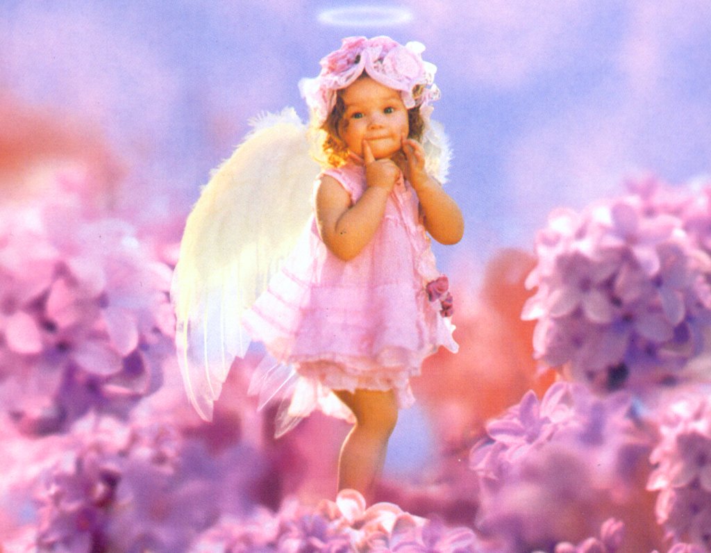Angel Babies Wallpaper
