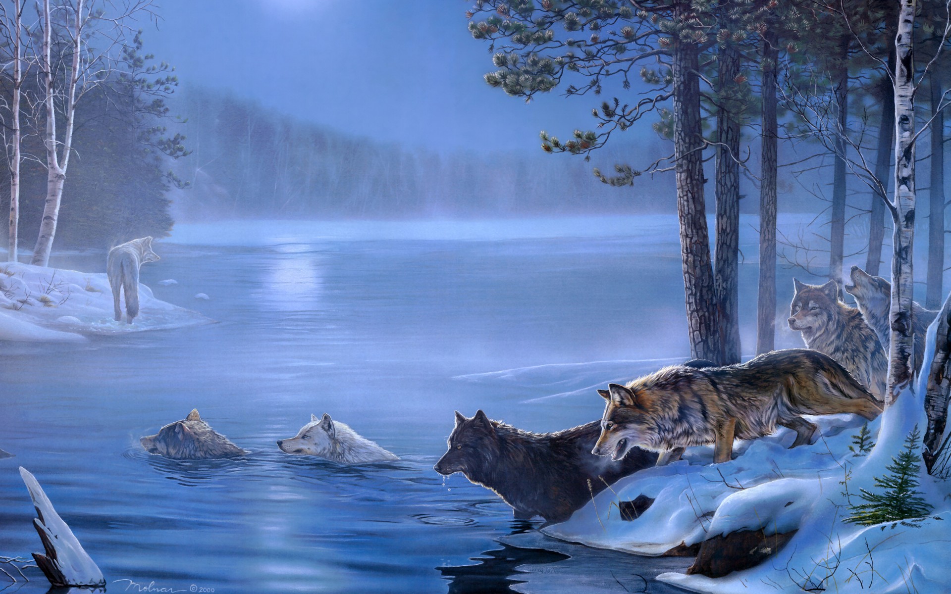 Art Paintings Wolf Wolves Landscapes Trees Forest Lakes Rivers Night