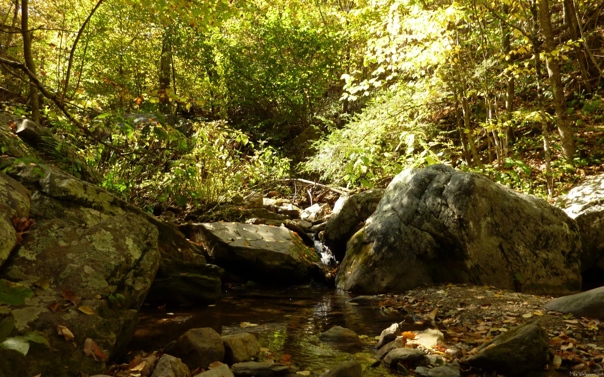 Mlewallpaper Sunlit Fall Stream On The Appalachian Trail