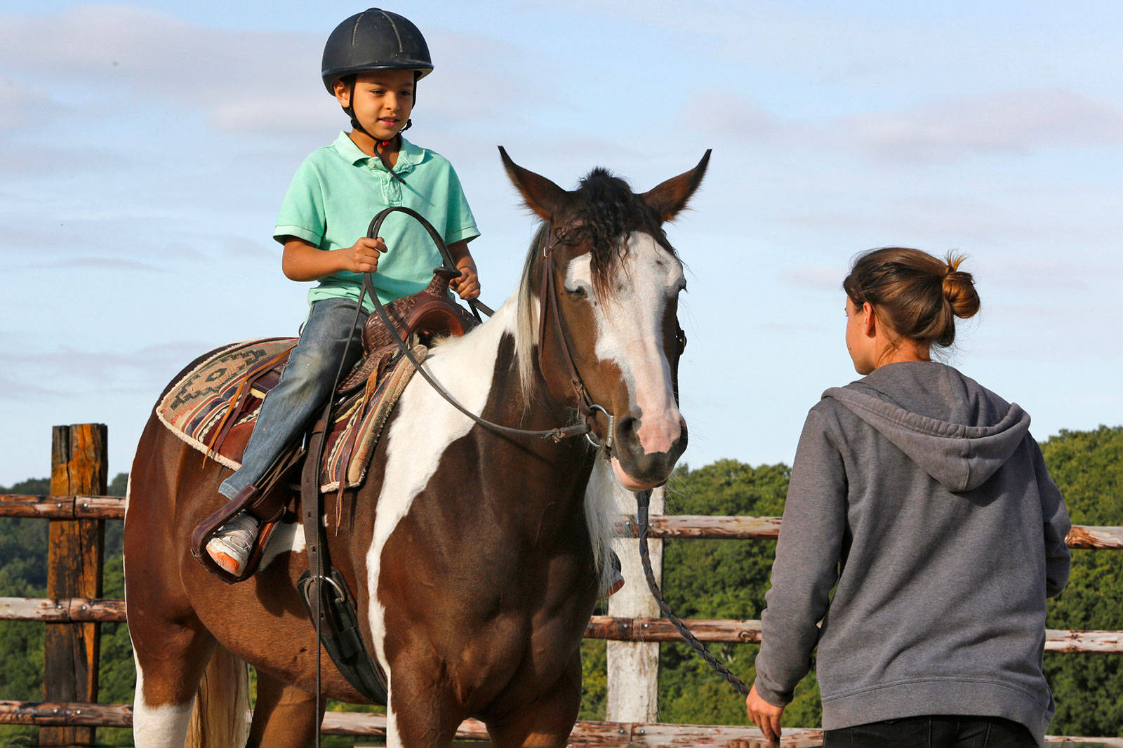 Top Equestrian Wallpaper Full HD 4k To Use