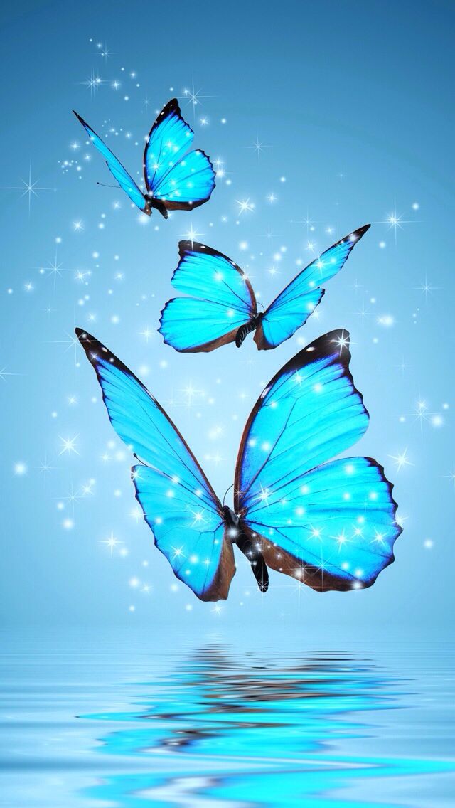 Blue Butterfly Wallpaper Background Pictures
