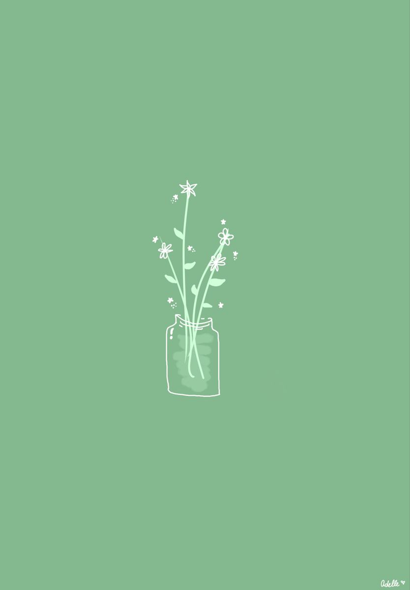 Wallpaper Minimalism Branch Green Leaf Plant Stem Background   Download Free Image