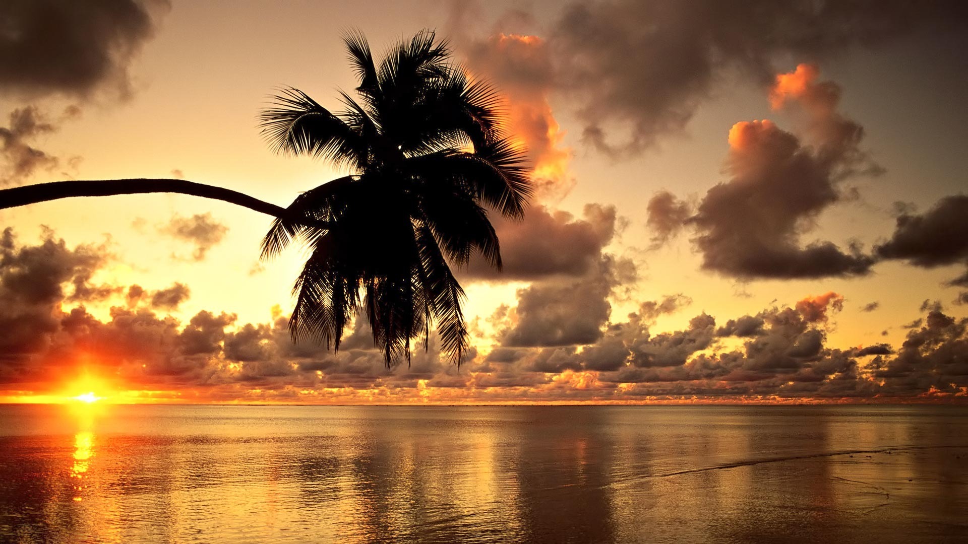 Hawaiian Sunset HD Beach Wallpaper 1080p