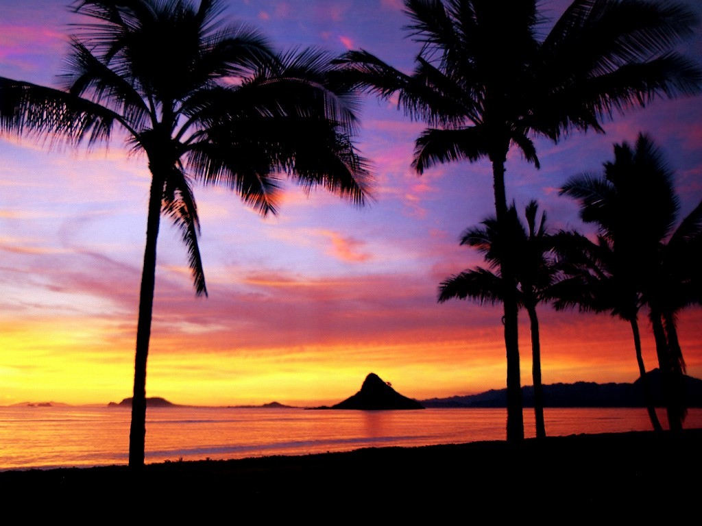 Hawaiian Sunset Wallpaper HD Background Image Pictures