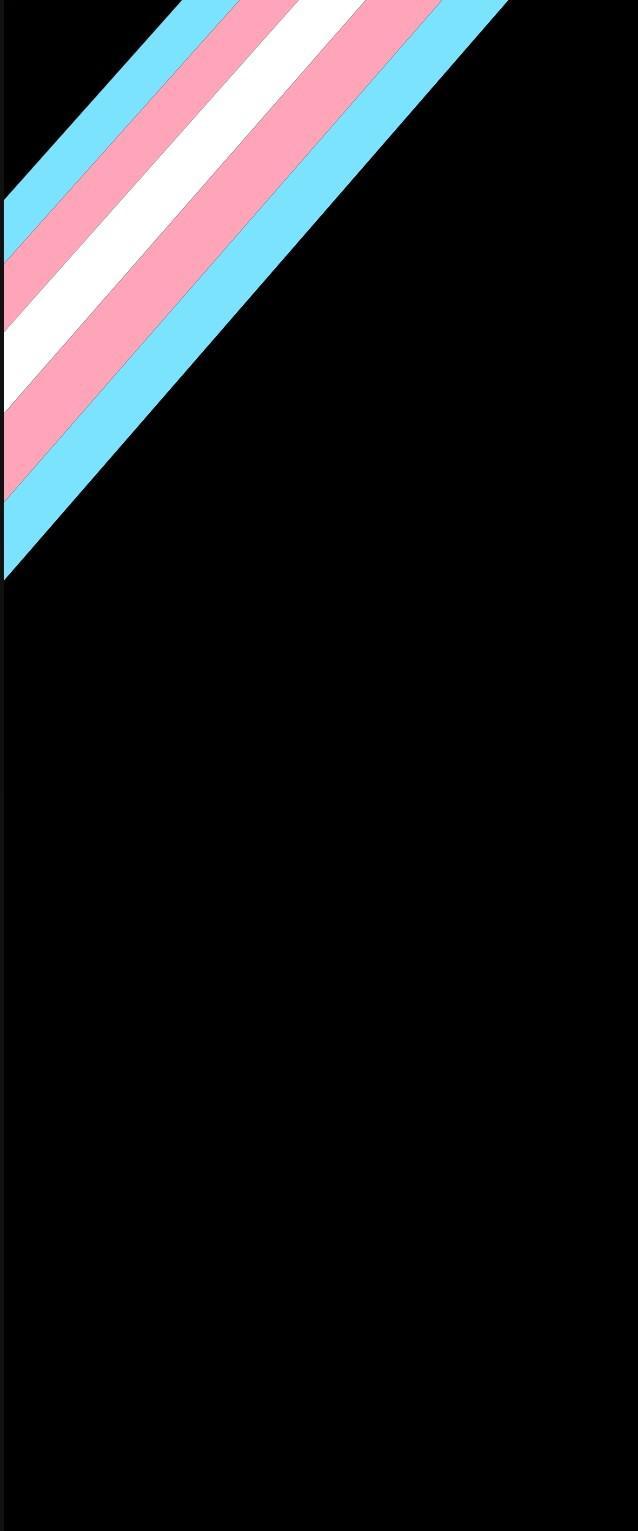 Transgender Pride Flag Wallpaper Open To Requests Hope Its Good
