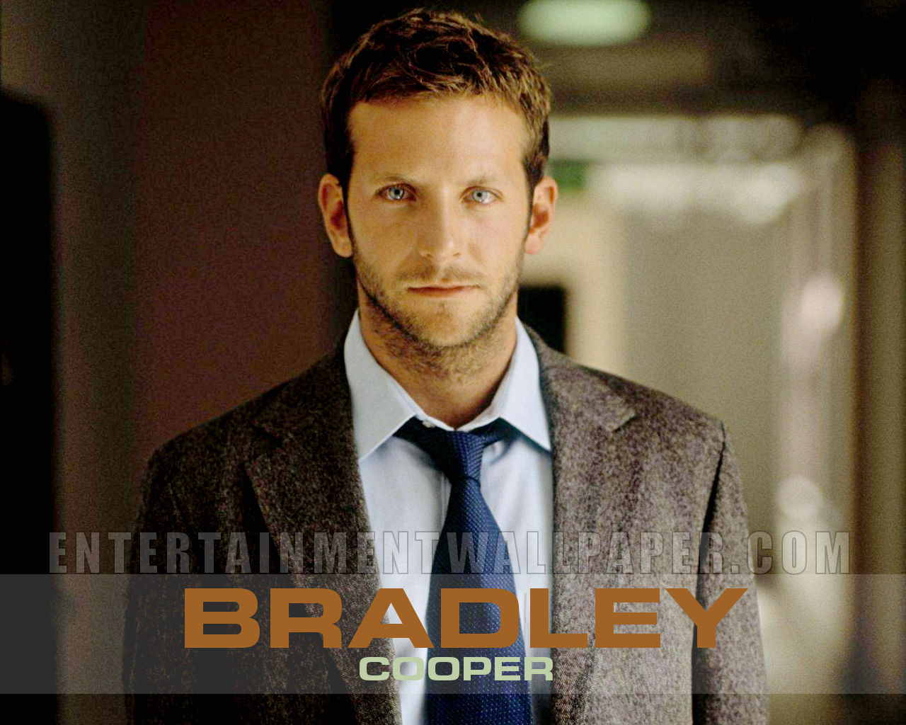 bradley cooper   Bradley Cooper Wallpaper 23904524