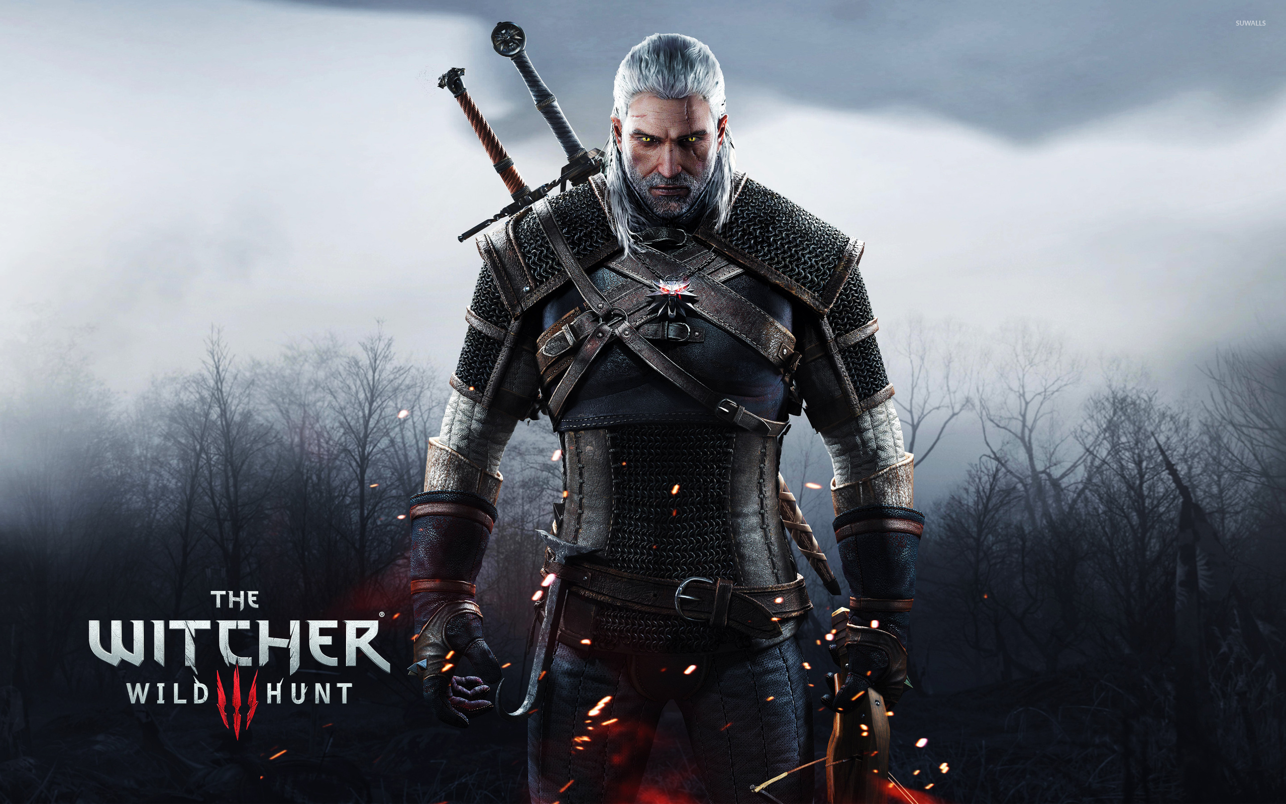    The Witcher 3 Wild Hunt wallpaper   Game wallpapers   49582 2560x1600